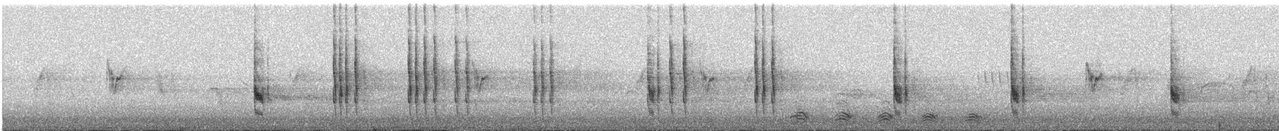 Alcaudón Bucéfalo - ML646491733