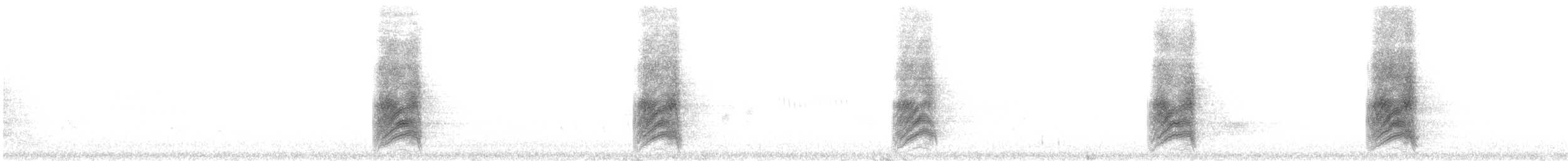 Chara de Woodhouse (grupo woodhouseii) - ML646491779