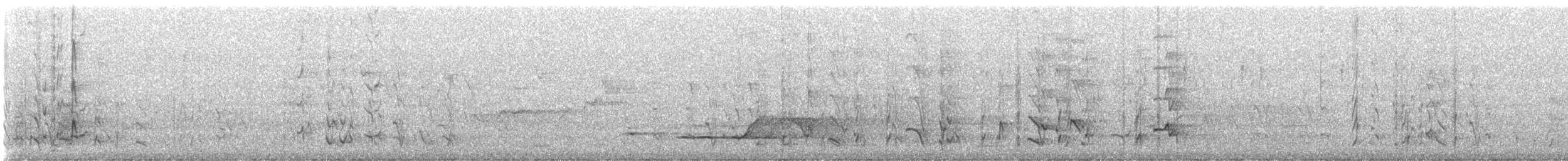 Perico Elegante - ML646491781