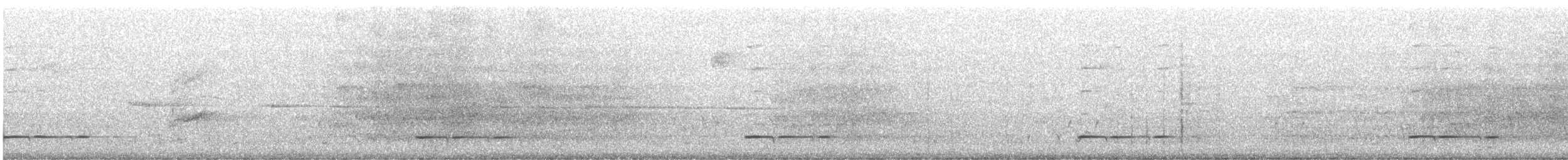 Perico Elegante - ML646491782