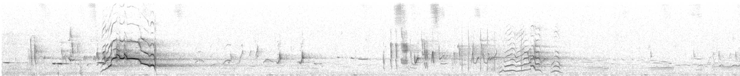 Cacatúa Fúnebre Piquicorta - ML646491786