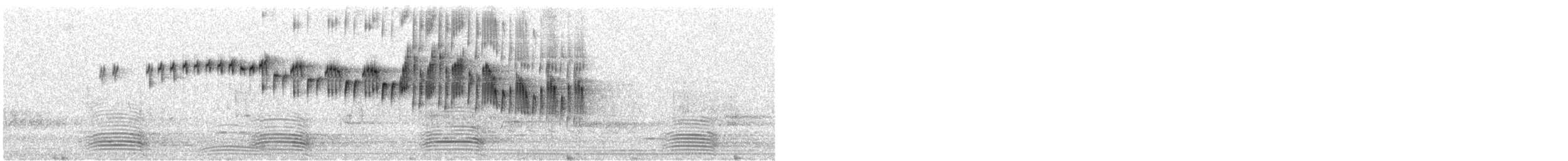 Maluro Espléndido - ML646491798