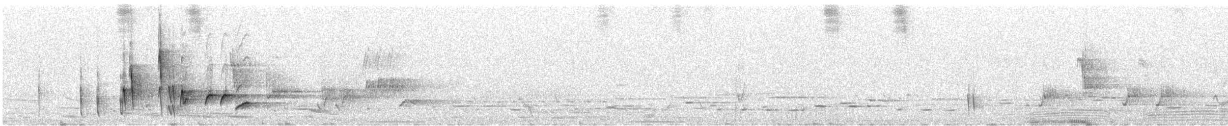 Mielero Pardo - ML646491810