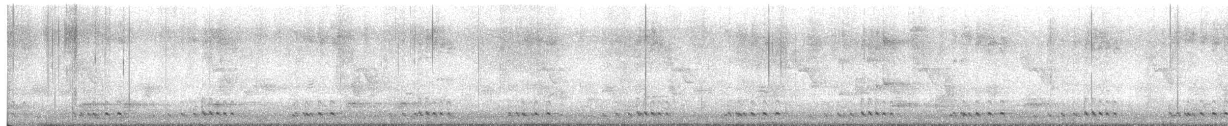 Barbudo de Formosa - ML646491878