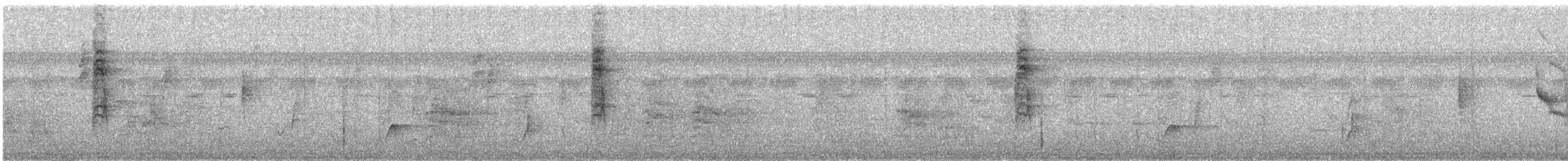 Reinita de Magnolia - ML646491898