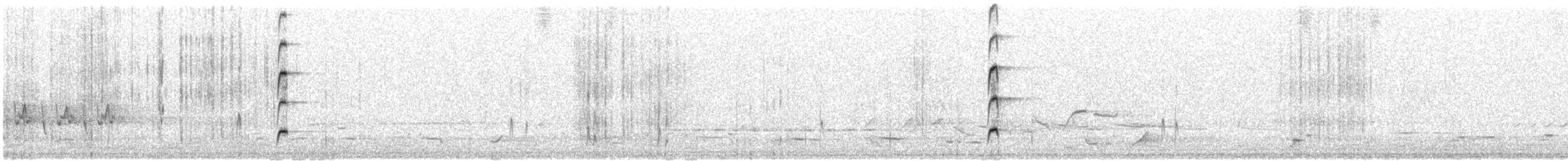 Медовка бронзова - ML646491939