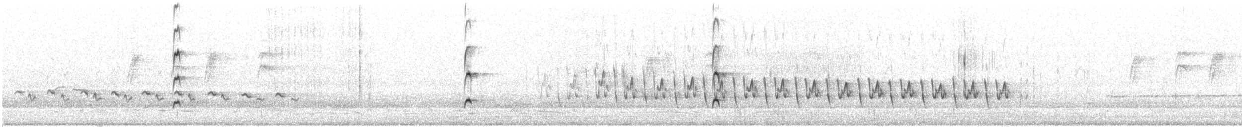 Медовка бронзова - ML646491940