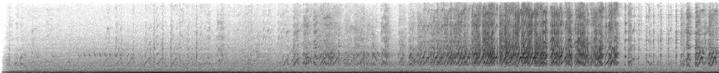 Белощёкая розелла - ML646491999