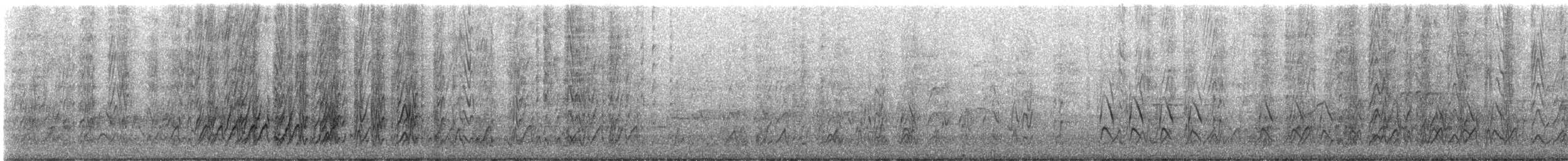 Белощёкая розелла - ML646492000