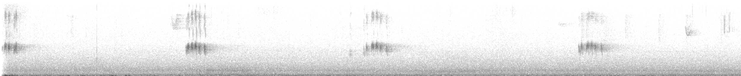 tropekongetyrann - ML646492004