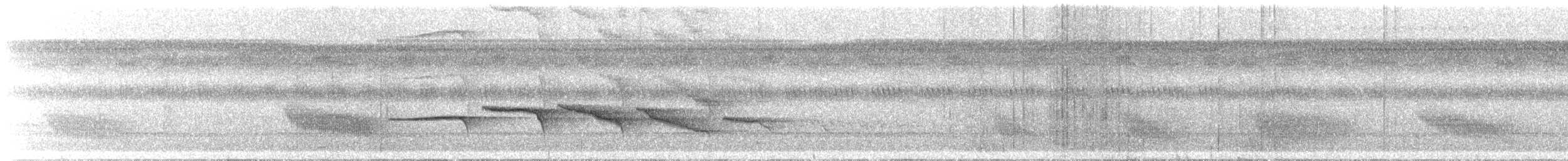 Chestnut-crested Antbird - ML646492162