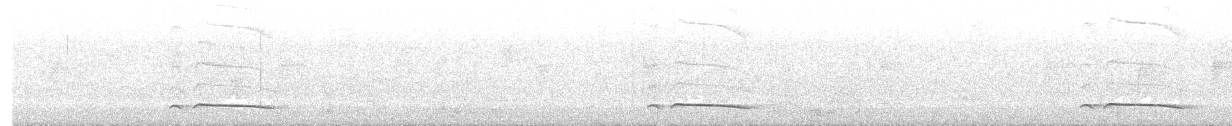 Cinnamon Attila - ML646492166