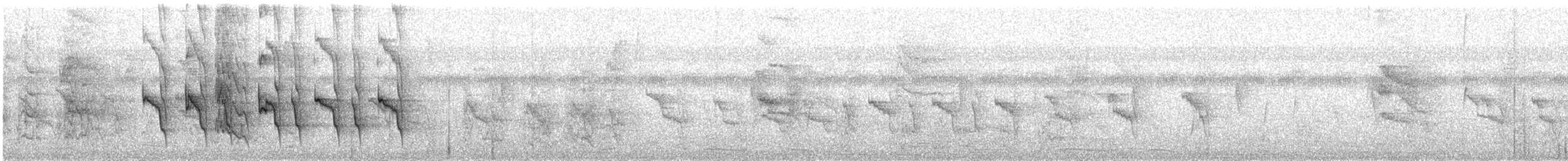 Social Flycatcher - ML646492216