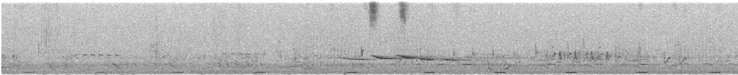 Colombine élégante - ML646492227