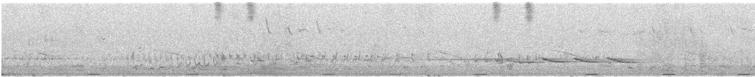 Colombine élégante - ML646492228