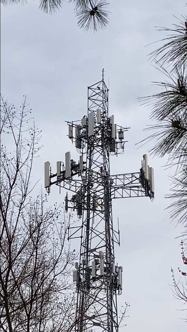 ウオガラス - ML646492237