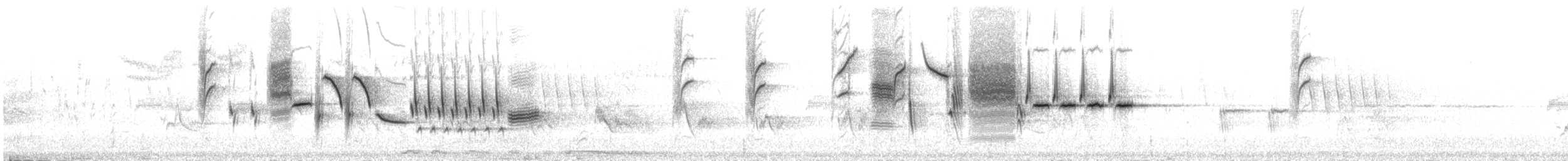 Підбуреник [група mexicanus] - ML646492555