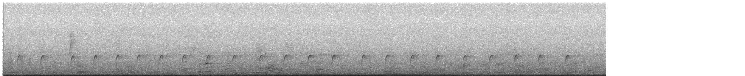 Greater Pewee - ML646492584