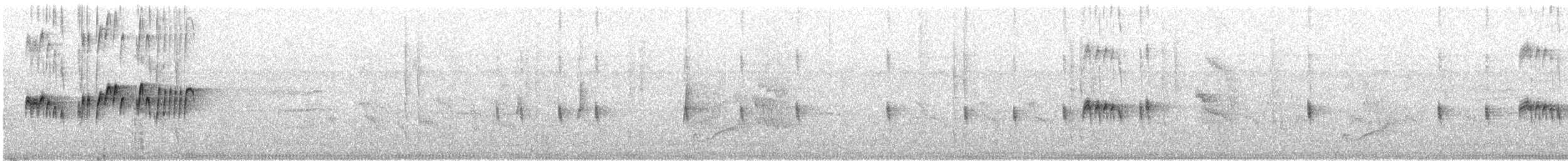 Тиран тропічний - ML646492590