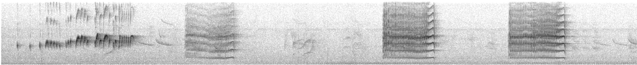 Пітанга-великодзьоб - ML646492601