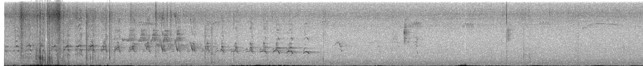 Скопа західна (підвид carolinensis) - ML646492796