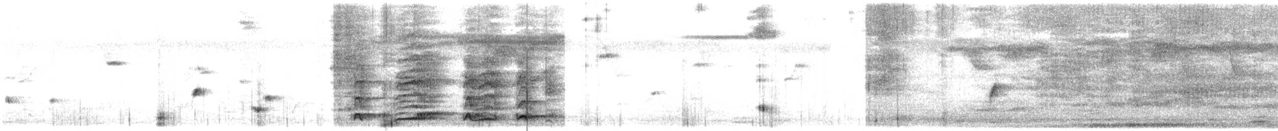 Курка сіра - ML646493044