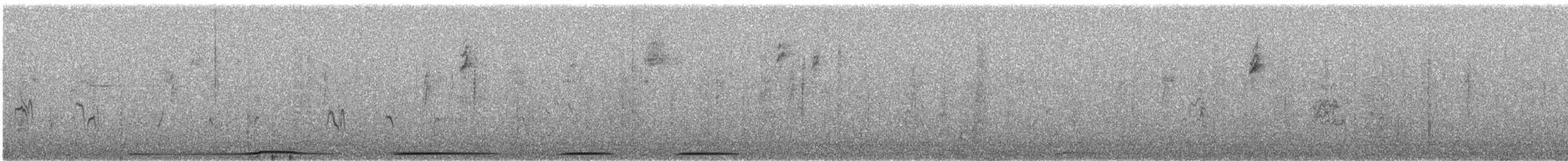 Зенаїда північна - ML646493174