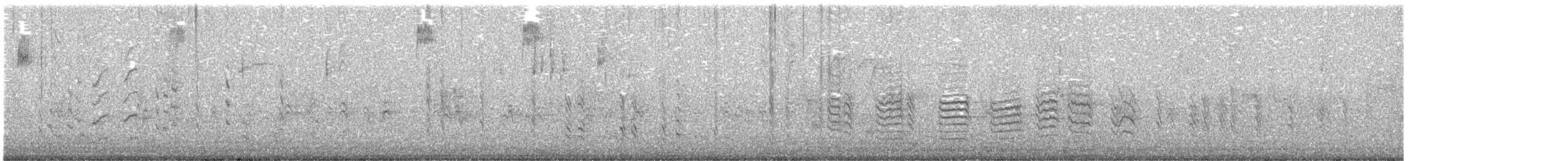 Повзик канадський - ML646493179