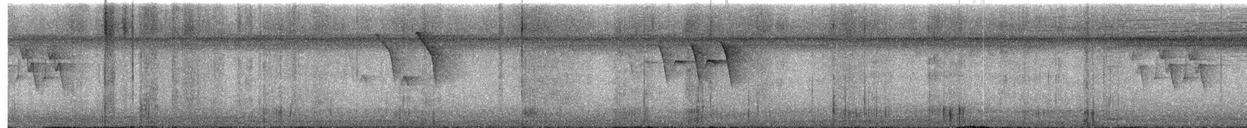 Пісняр горихвістковий - ML646493279