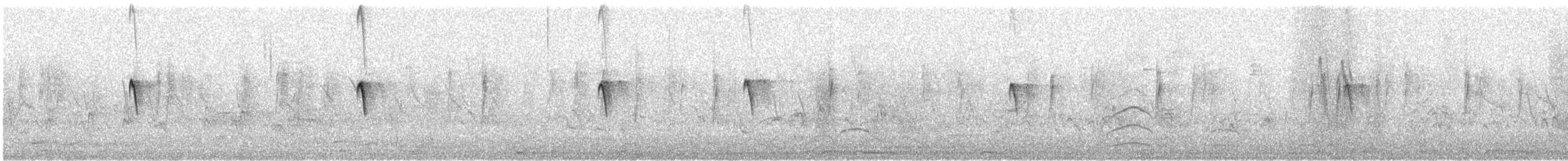 Феб чорний - ML646493305