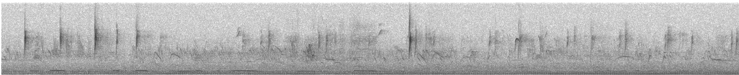 Пісняр-лісовик жовтогузий (підвид auduboni) - ML646493421