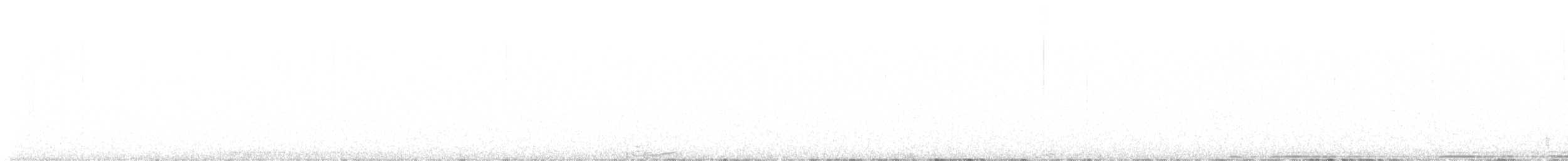 Пугач віргінський - ML646493646