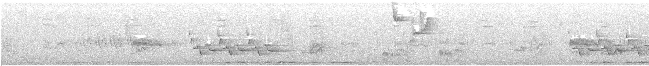 Поплітник каролінський - ML646493650