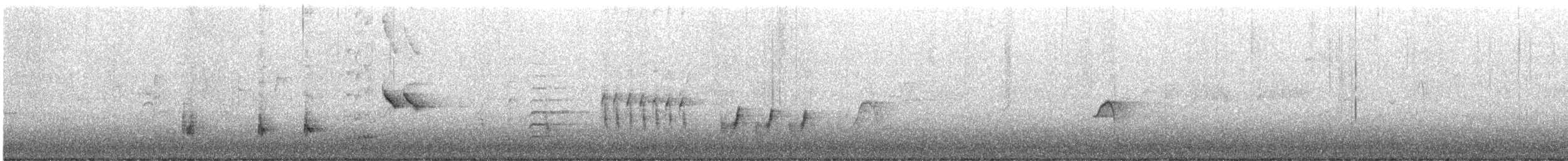 Australian Reed Warbler - ML646494144