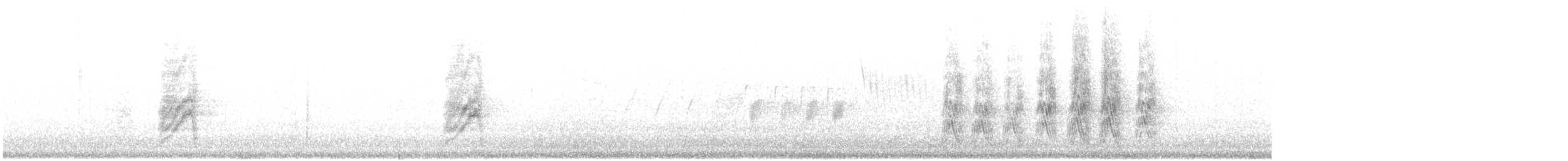 Woodhouse's Scrub-Jay (Woodhouse's) - ML646494330