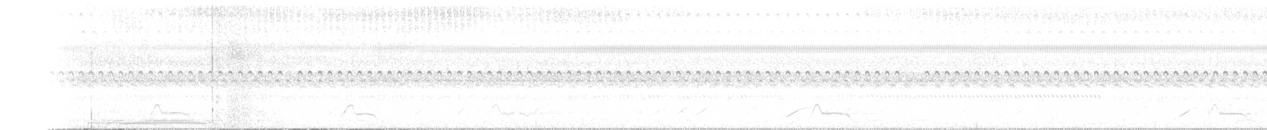 Common Pauraque - ML646494628