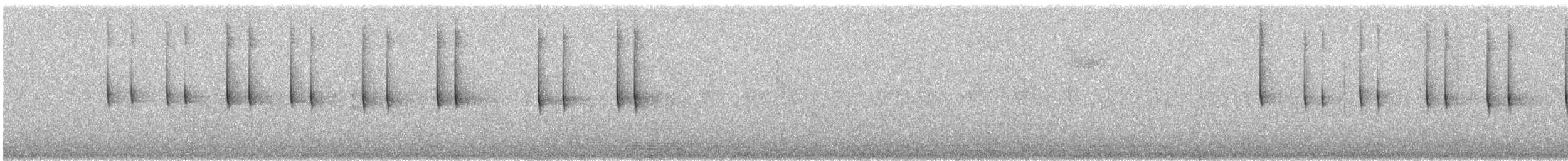 White-eared Hummingbird - ML646494680