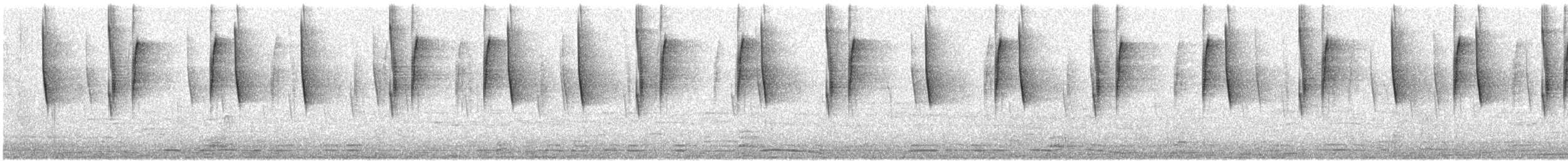 Mexican Violetear - ML646494927