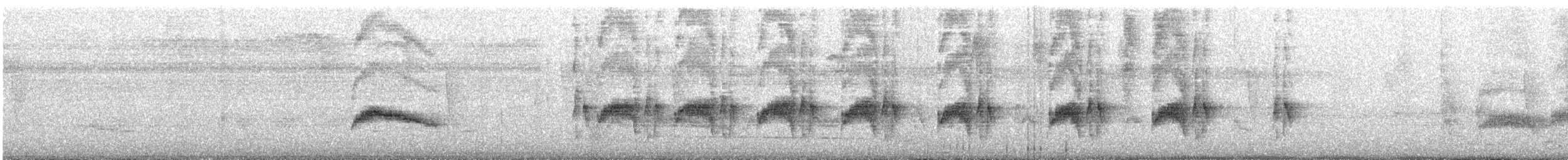 キバラシラギクタイランチョウ - ML646495599