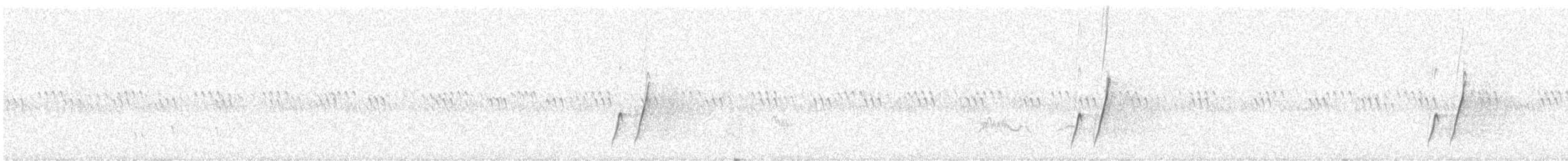 マルハシツグミモドキ（palmeri グループ） - ML646495883