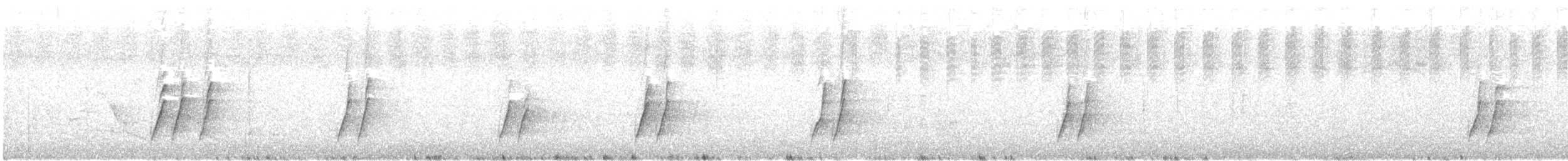 Curve-billed Thrasher - ML646496605