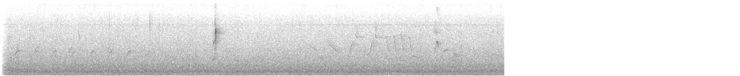 Connecticut Warbler - ML646496796