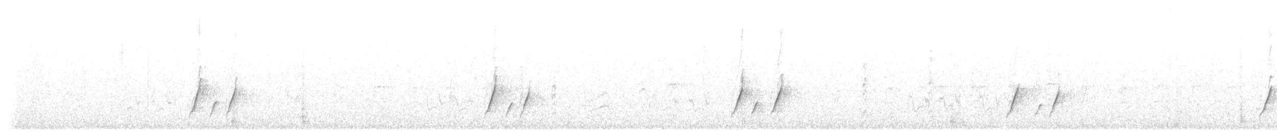 Curve-billed Thrasher - ML646496983