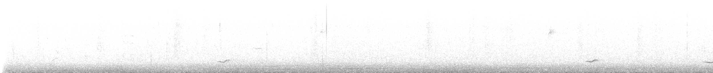 Audubon's Oriole (Audubon's) - ML646497083