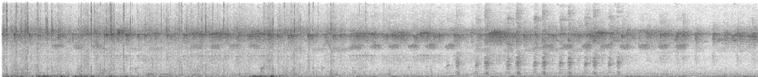 White-eared Sibia - ML646497707