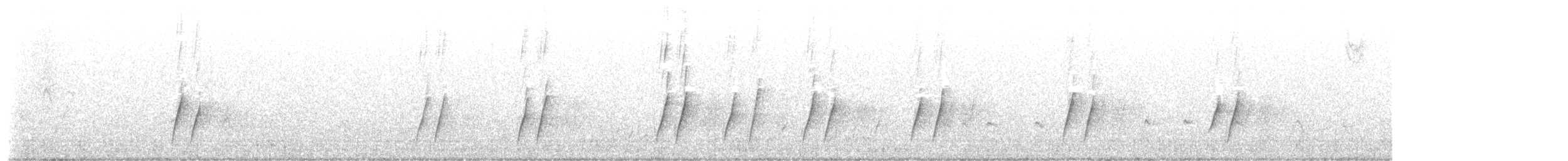 Curve-billed Thrasher (curvirostre Group) - ML646497729