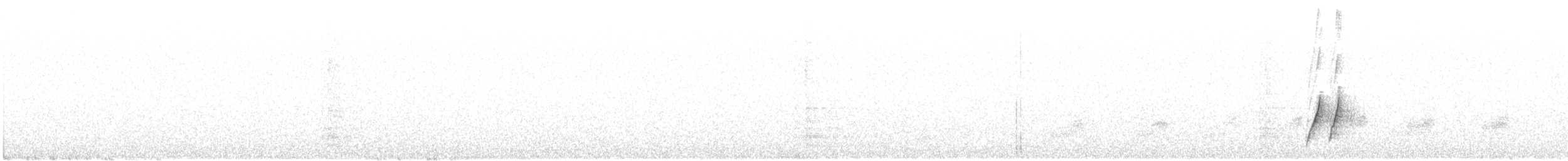 Curve-billed Thrasher - ML646498024