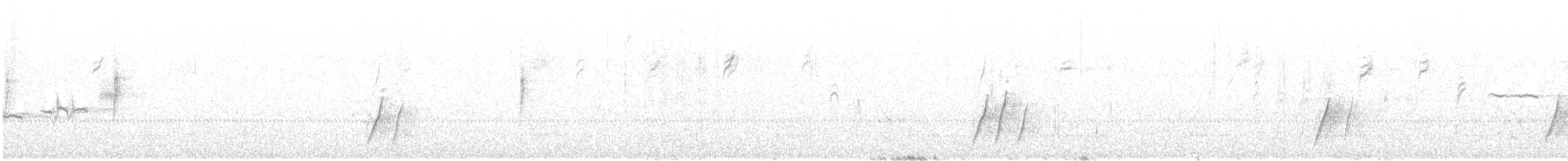 Curve-billed Thrasher - ML646498111