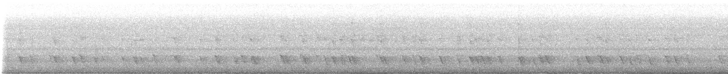 Black-chested Jay - ML646499183