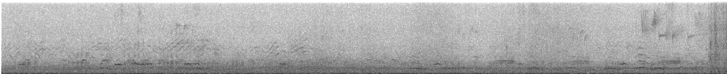 labuť malá - ML646499961